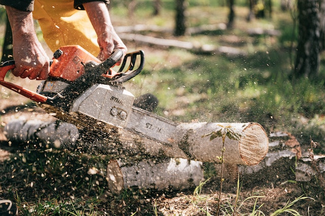 Stihl MS 170